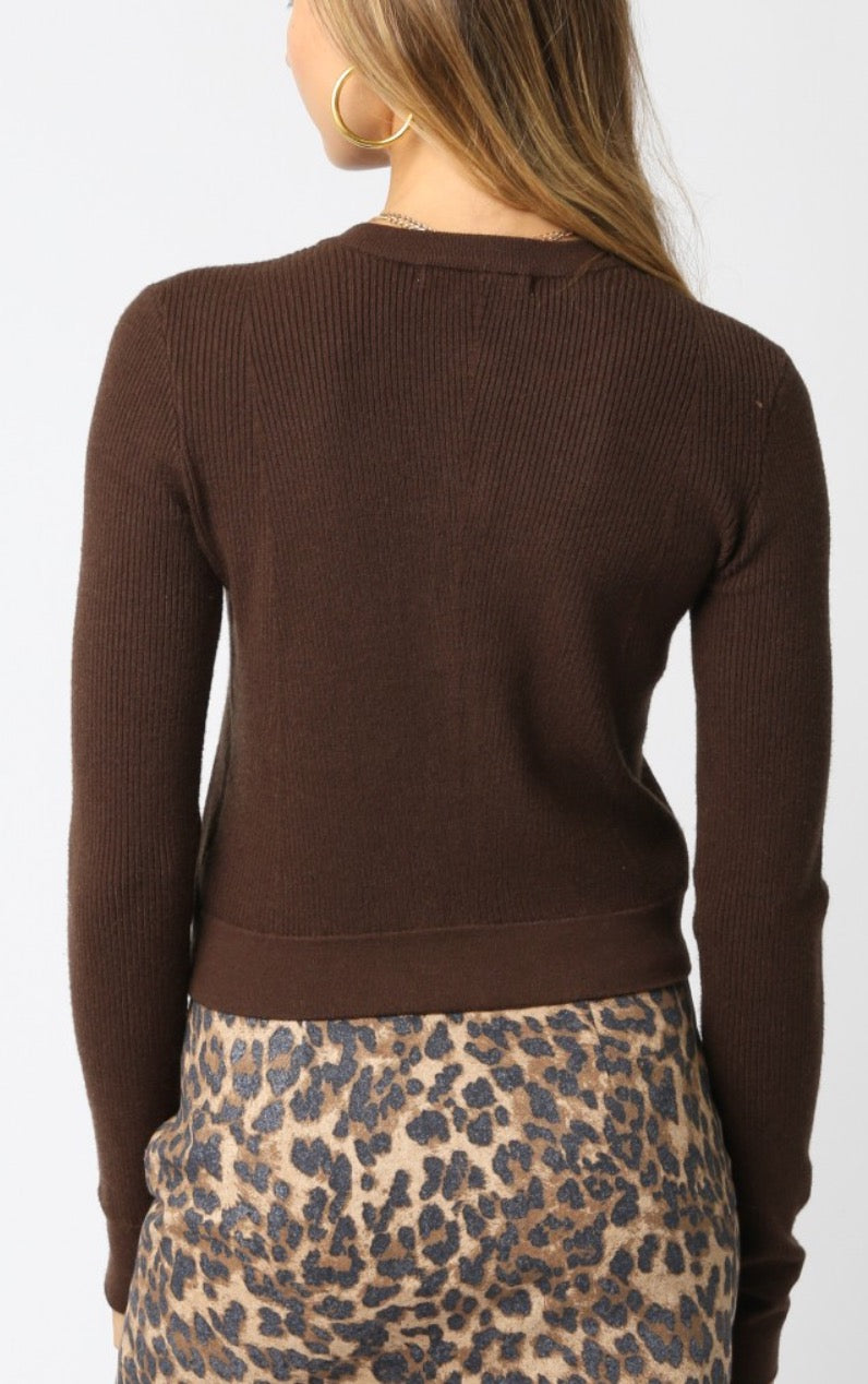Brown Button Up Sweater