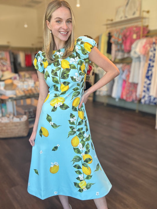 Mestiza Perla Midi Dress