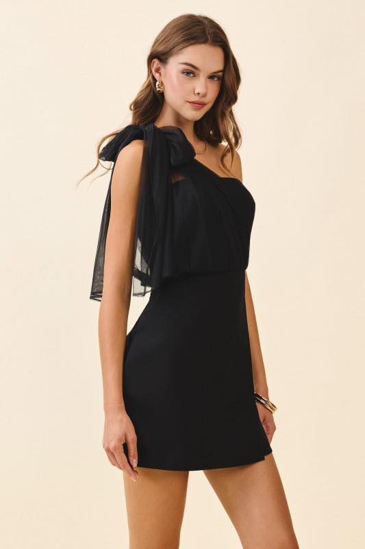 Bow Detail Mini Dress in Black