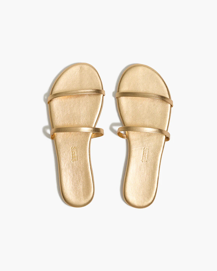 Tkees Gemma Metallics in Blink