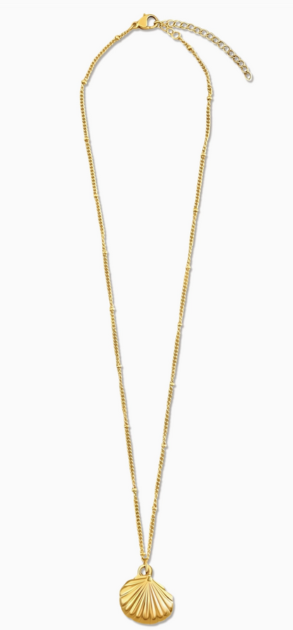 Georgina Shell Pendant Necklace