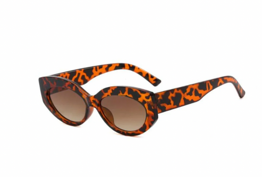 Hampton Sunglasses in Tortoise