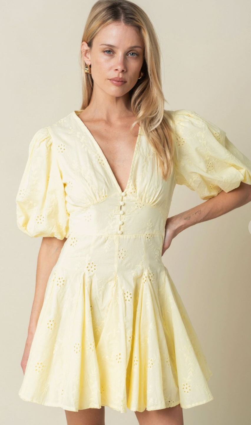 Celeste Puff Sleeve Mini Dress