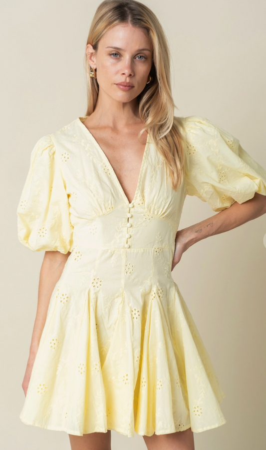 Celeste Puff Sleeve Mini Dress