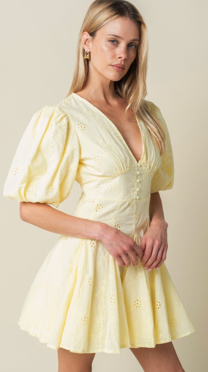 Celeste Puff Sleeve Mini Dress