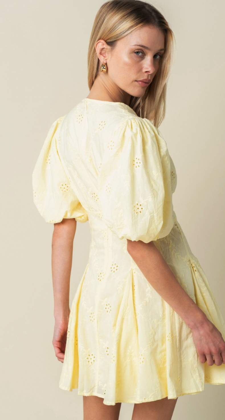 Celeste Puff Sleeve Mini Dress