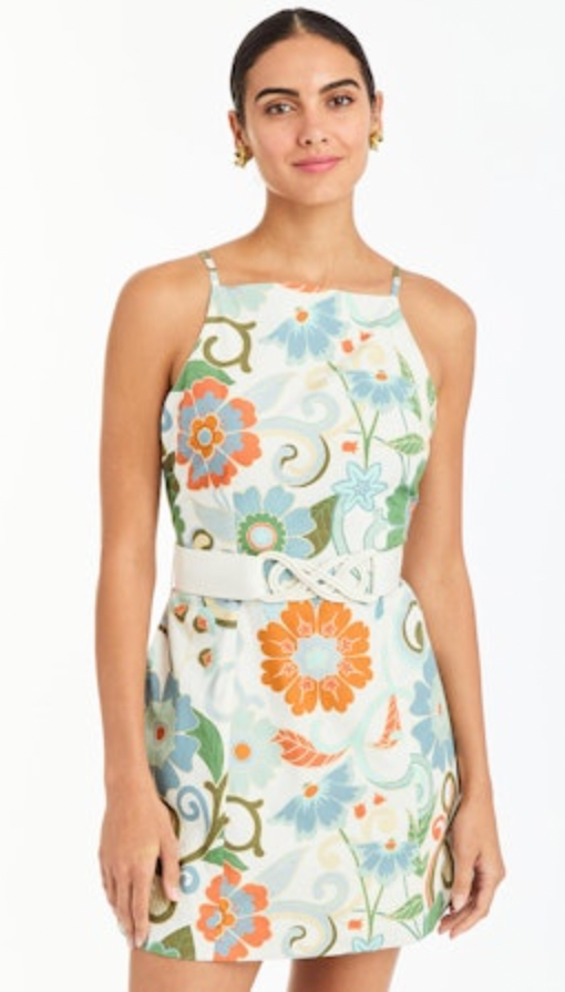 Mestiza Havana Mini Dress in Groovy Florals