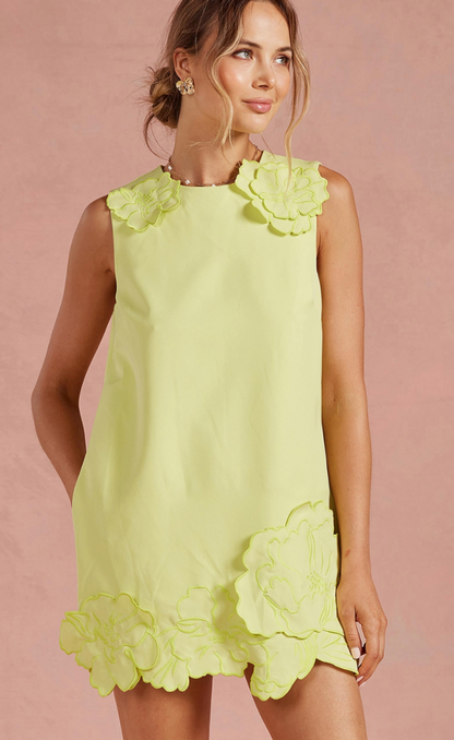 3D Floral Applique Dress