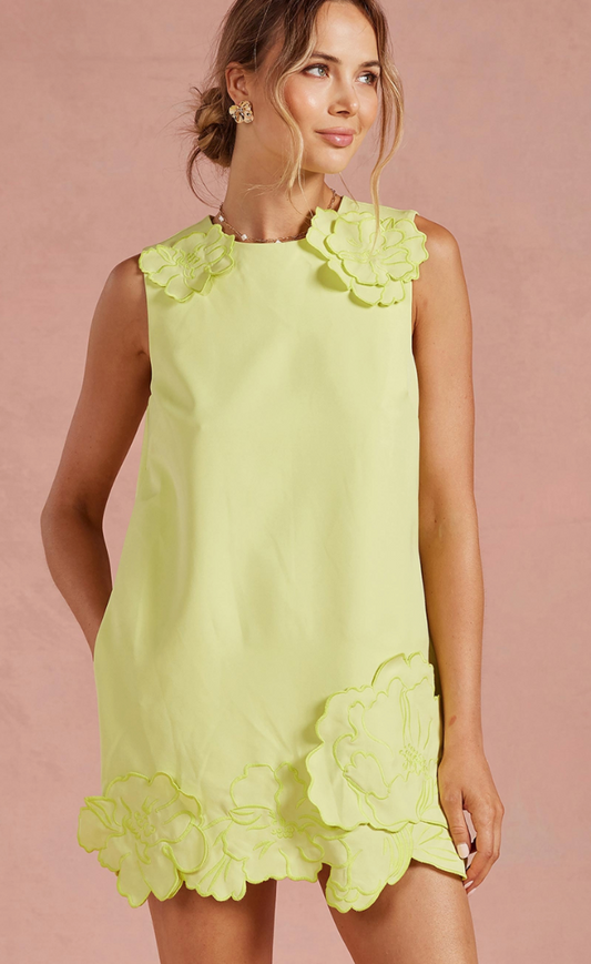 3D Floral Applique Dress