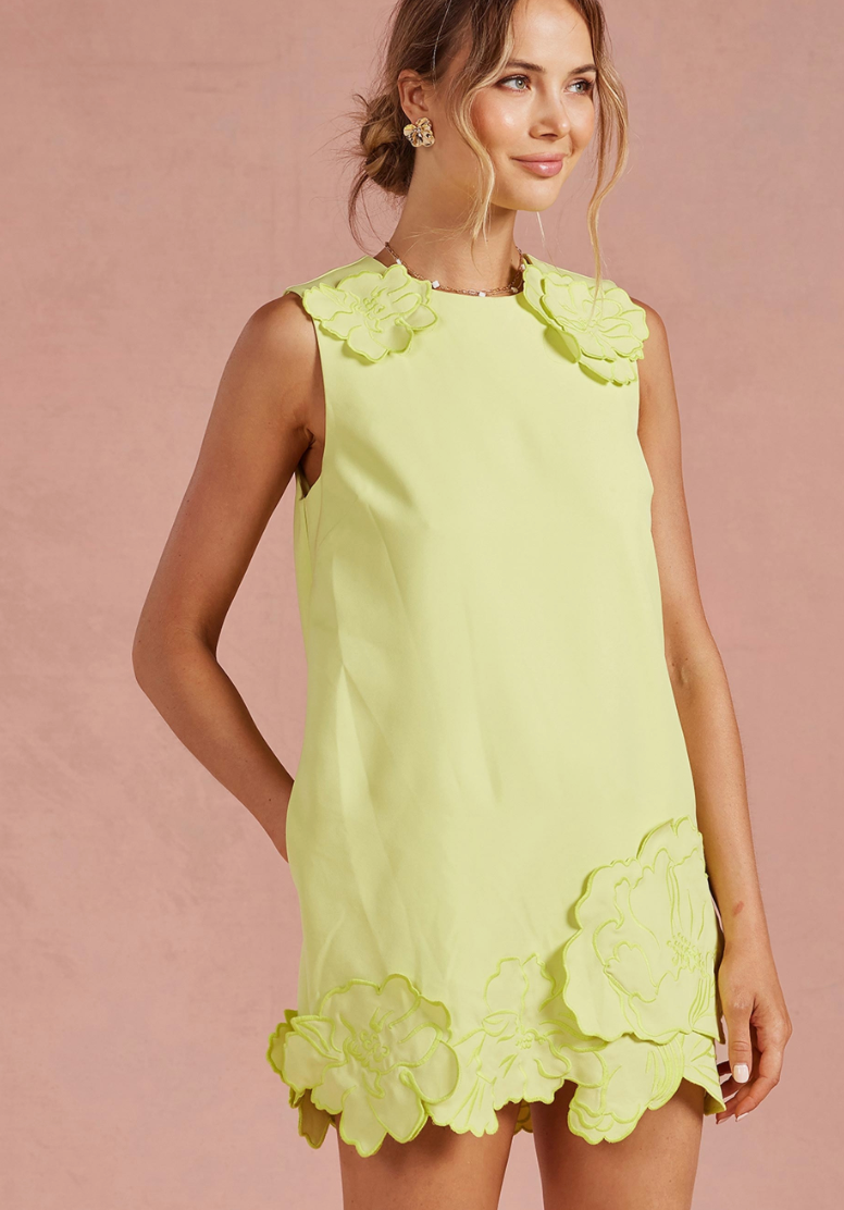 3D Floral Applique Dress