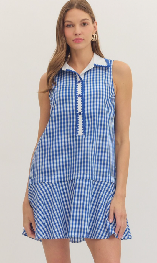 Blue Gingham Mini Dress