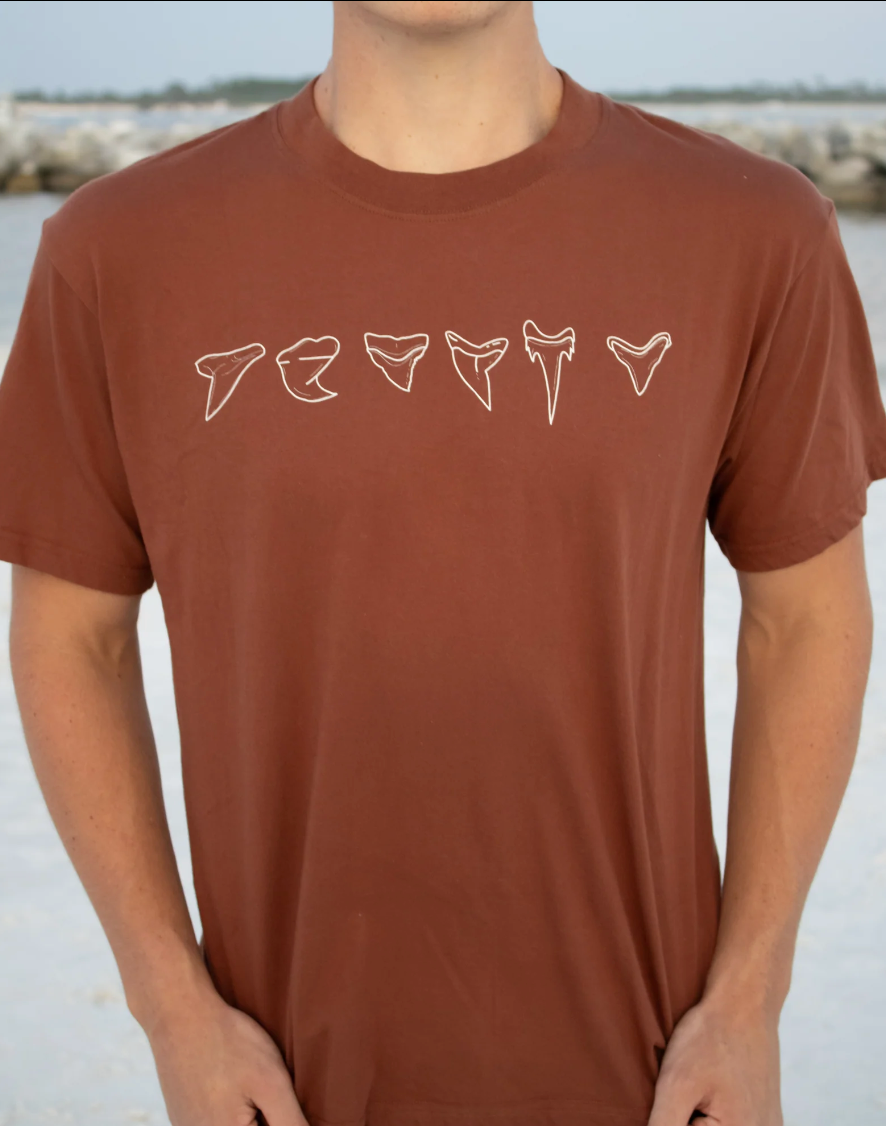 Coastal Culture Shark Tee