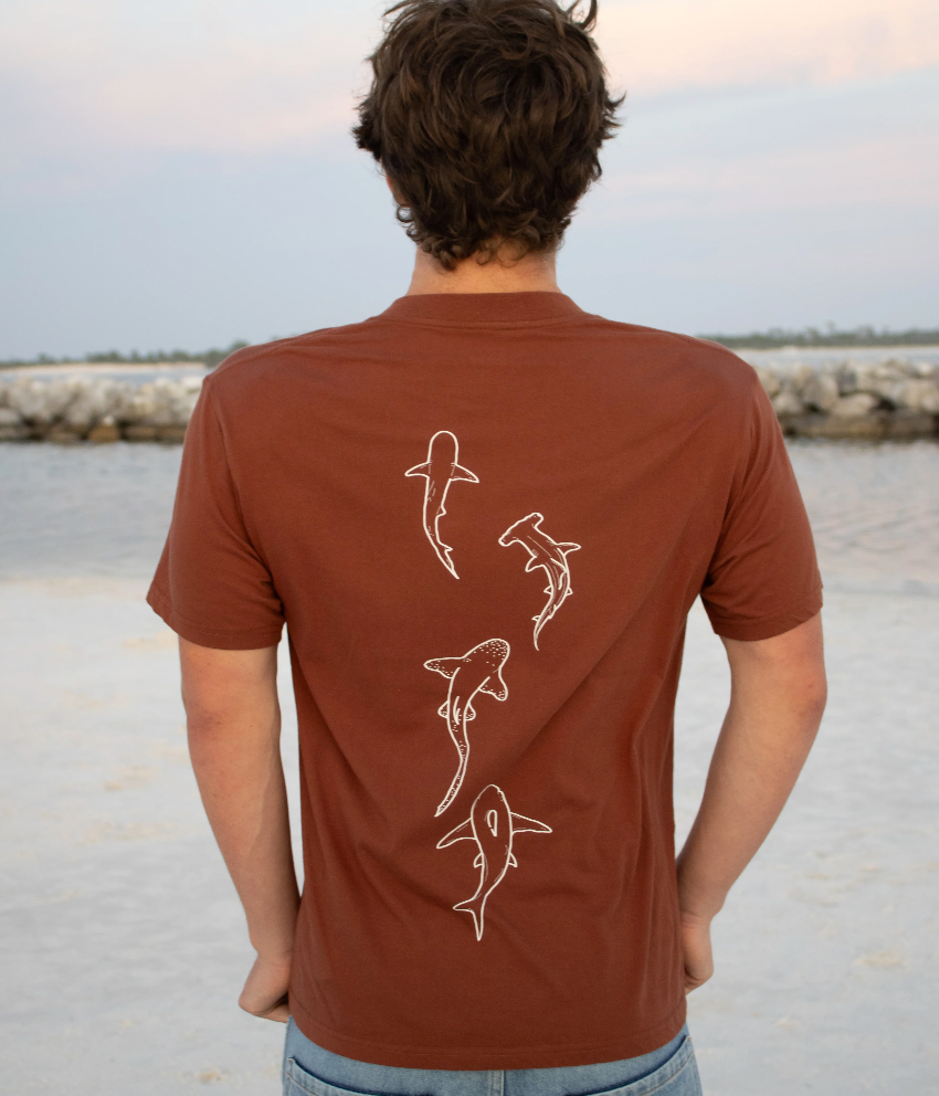 Coastal Culture Shark Tee