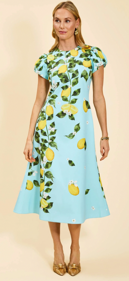 Mestiza Perla Midi Dress